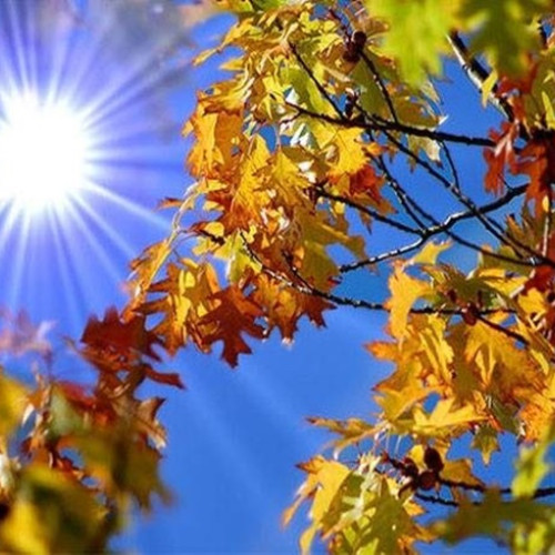 Temperaturi mai ridicate pentru începutul toamnei, precipitații deficitare, potrivit prognozei ANM