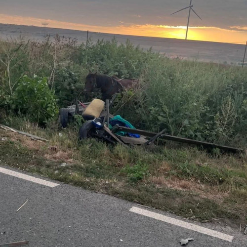 Accident rutier în Galați: autospecială de poliție implicată într-un impact cu un atelaj hipo pe DJ 255