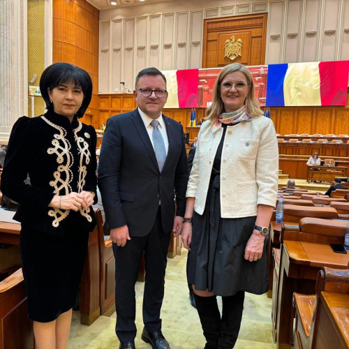 PSD intră în coaliție pentru reforme sociale și scutiri de CASS