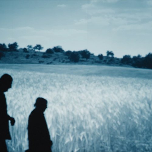 Pădurea de molizi readuce drama basarabeană la Fântâna Albă în cinema