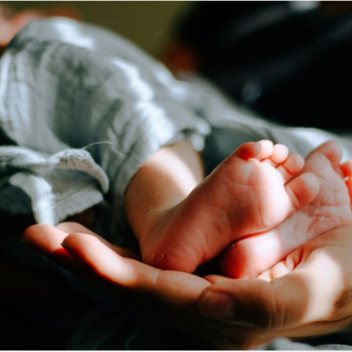 Școala Mamei la SCJU Bihor: cinci întâlniri gratuite în octombrie 2025