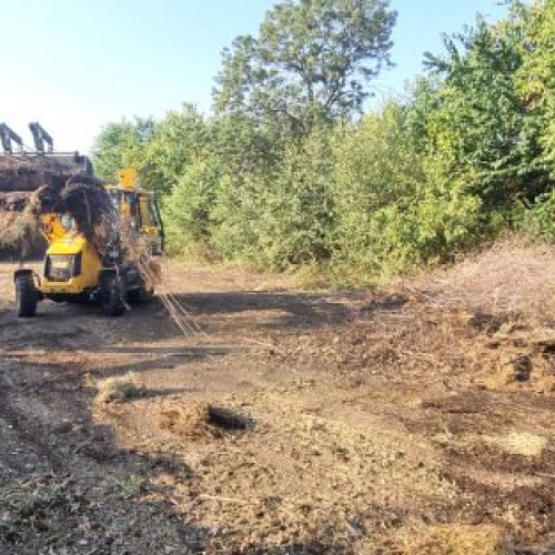 SGU Ploiești intensifică curățenia spațiilor verzi din școlile municipiului