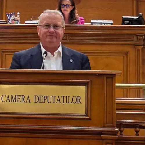 Lăpușan cere reformă reală a statului, nu doar criterii contabile