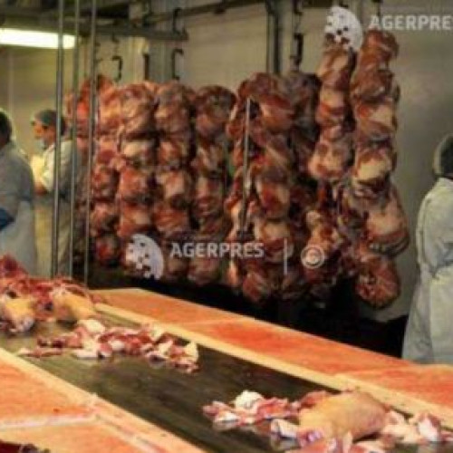 Producția de carne crește la bovine, porcine și păsări, scade la ovine și caprine