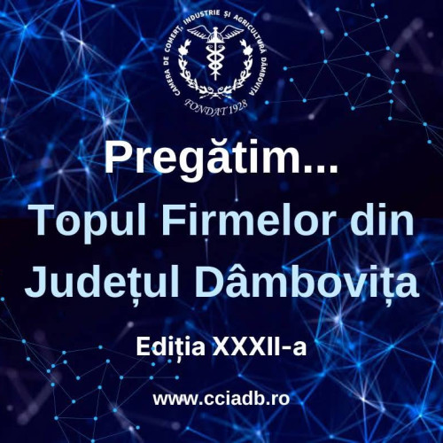 Gala Topul Firmelor Dâmbovița 2025 premiază excelența în afaceri locale