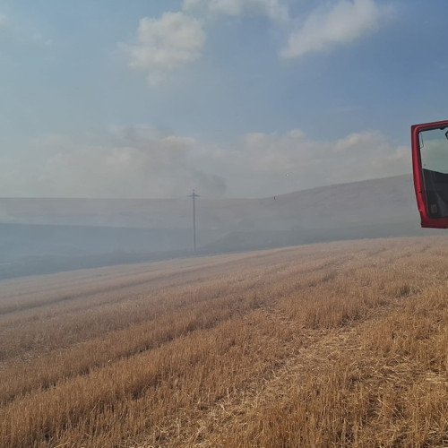 Intervenții de amploare în Delta Dunării pentru incendii