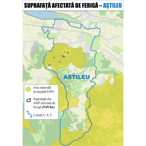 Două firme depun oferte pentru combaterea ferigii în ariile protejate ale județului Bihor