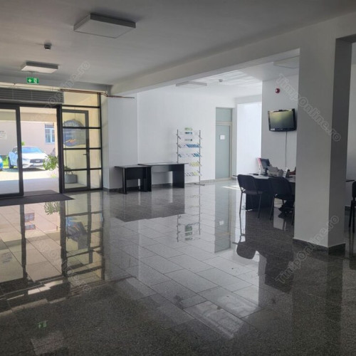 AJOFM Bistrița-Năsăud permite accesul cu animale de companie