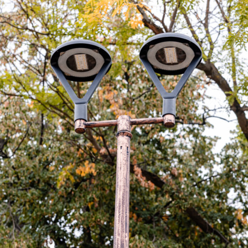 Primarul general interimar anunță modernizarea iluminatului în Parcul Herăstrău