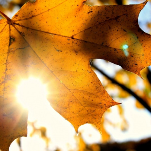 Vremea se răcorește în București cu averse nocturne și temperaturi în scădere