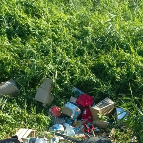 Poliție amendează un localnic pentru deșeuri abandonate în Cociu