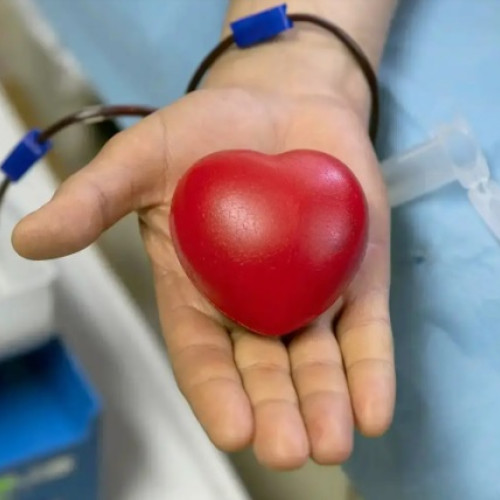 Donare de sânge în Baia Mare: VITAL S.A. intensifică acțiunile de responsabilitate socială