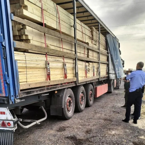 Acțiune silvică în Vrancea: 53 controale și 28 de sancțiuni