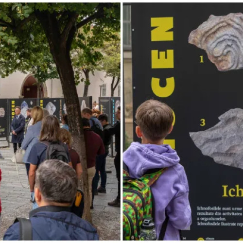 Clujul devine muzeu în aer liber prin expoziția „Comori din mările Clujului”