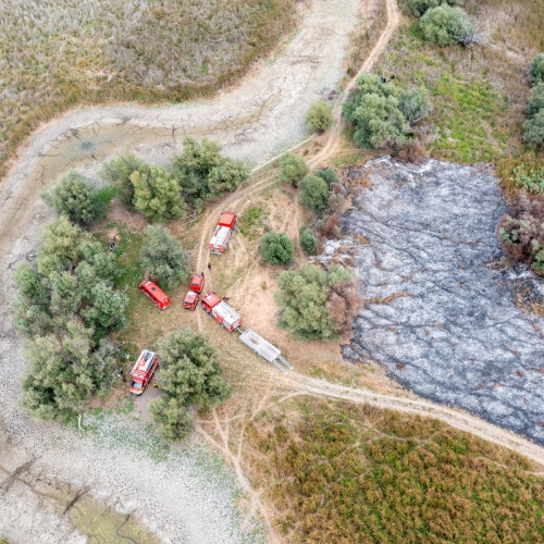 Pompierii tulceni intervin din nou în Delta Dunării pentru incendiu la vegetație