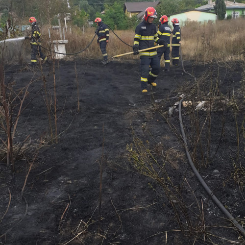 Pompierii au salvat patru case în Săveni și Santa Mare după incendii de vegetație