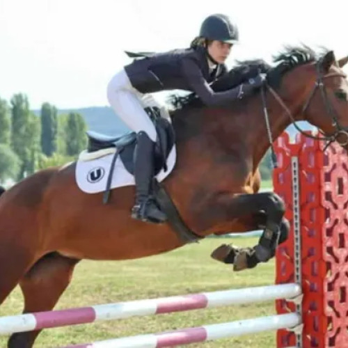 CSU Cluj câștigă multiple titluri la finala națională de echitație