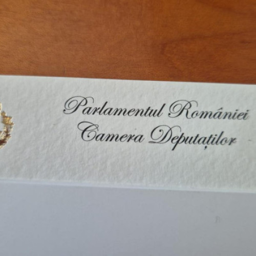 Radu Mihaiu critică costul cărților de vizită cu foiță de aur în Parlament