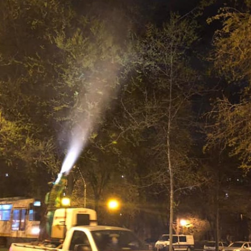 Tratamente fitosanitare în București pentru combaterea dăunătorilor și bolilor plantelor