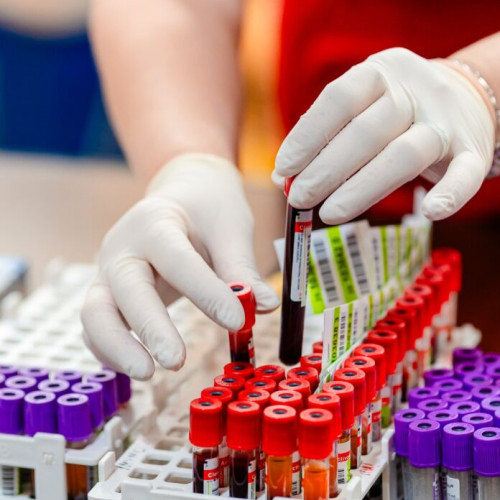 Peste 50 donatori au donat sânge la Primăria București