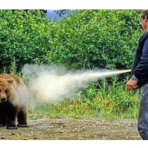 Poliția Română achiziționează Walther Bear Defender 225 ml pentru 50 dispozitive