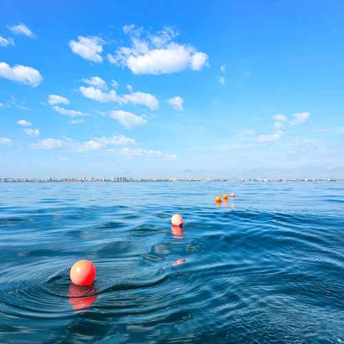 ASTRA aduce cercetări avansate despre înfloririle algale nocive în Marea Neagră