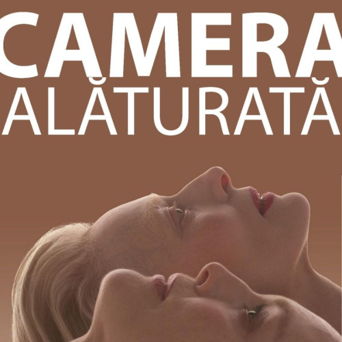 Camera alăturată la Arad: proiecție în sala mare