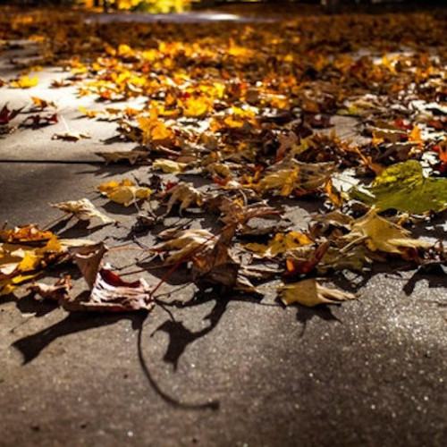 Vreme de răcire accentuată și ploi în următoarele săptămâni