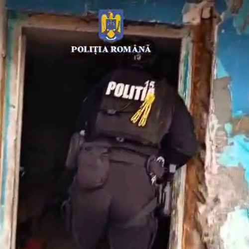 Pădurar agresat în timpul depistării tăierii ilegale din Sub Stejăris, Brașov