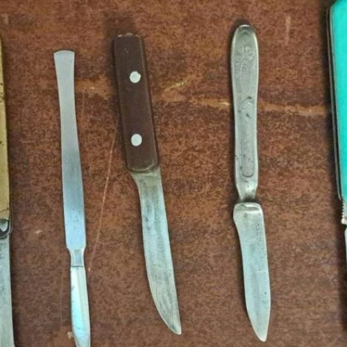 Femeie moldoveană prinsă la Parlament cu cuțite, urmărită la Forumul Economic