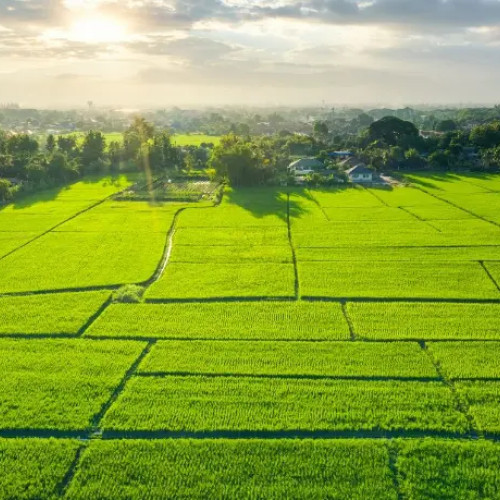 Topul mondial al celor mai mari proprietari de terenuri în 2025