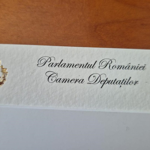 Cărți de vizită cu foiță de aur costă 310 lei, spune deputatul Radu Mihaiu