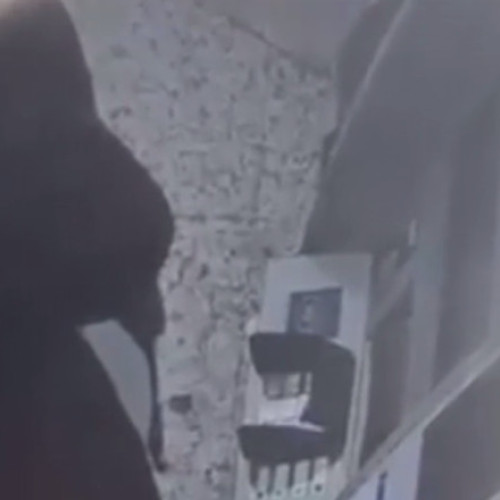 Trei bărbați și o femeie trimiși în judecată pentru tortură în Ilfov