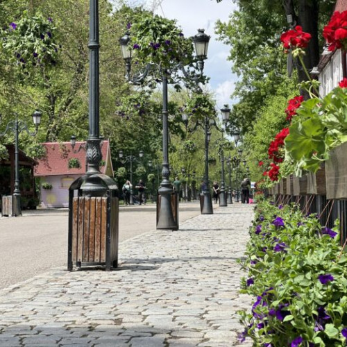 Primăria București propune amenzi mai dure pentru protecția spațiilor verzi