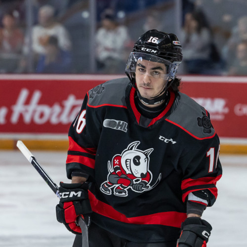 Corona Brașov anunță transferul lui Mike Levin, alături de fratele său