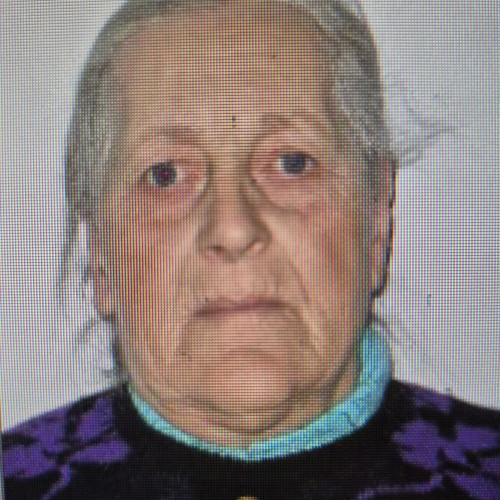 Femeie de 85 de ani din Mihăileni, dispărută în Botoșani, căutări în desfășurare