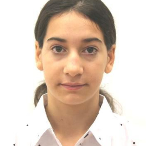 Adolescentă dispărută dintr-un centru social din Târgu Neamț, căutată de poliție