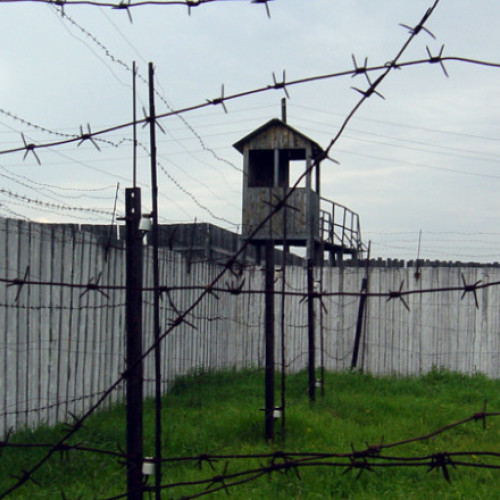 Bilet către Arctica. În interiorul sistemului rus de muncă forțată: deținuții acoperă deficitul de personal al economiei dure de război