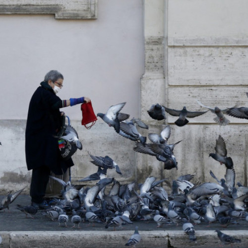 O femeie a primit interdicție de la primarul Romei să mai hrănească porumbeii care terorizau vecinii