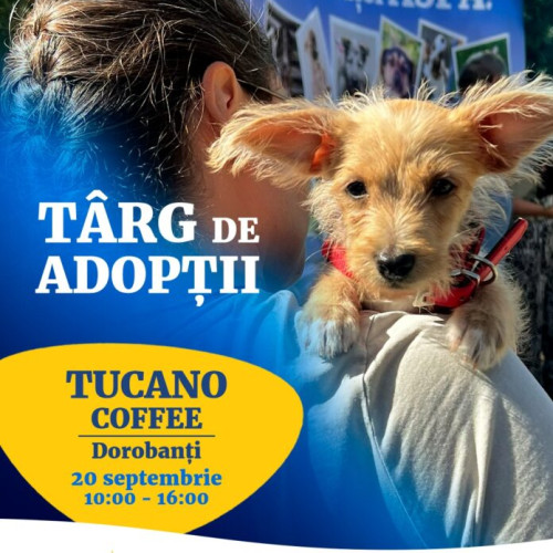 Primăria București organizează târg de adopții pentru câini din adăposturi