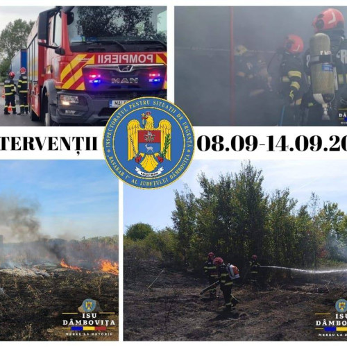 Pompierii dâmbovițeni au intervenit în peste 300 de situații de urgență într-o săptămână