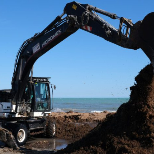 Deputatul AUR reclamă exportul ilegal de terenuri din Dobrogea către Spania