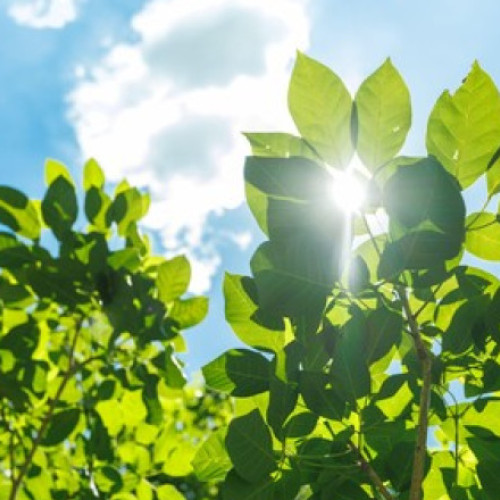 Stratul de ozon se refacă, iar gaura de deasupra Antarcticii ar urma să dispară