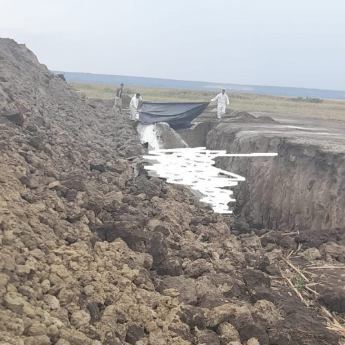 Amendă de 35.000 lei pentru depozitarea ilegală a deșeurilor animale în Catane