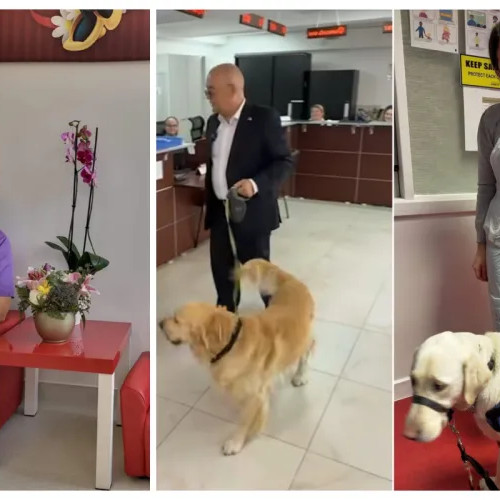 Dr. Monica Burlacu susține inițiativa „pet friendly” a Primăriei Cluj-Napoca după experiența medicală din Irlanda
