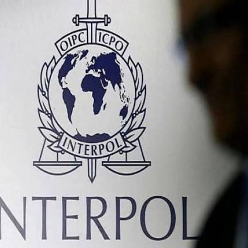 Interpol a descoperit aproape 300 de milioane de pastile de metamfetamină în operațiuni internaționale