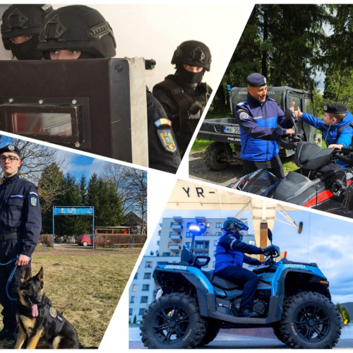 Jandarmii din Brașov au intervenit în peste 2200 de misiuni pe timpul verii