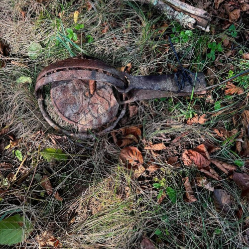 Percheziții în Maramureș pentru braconaj și nerespectarea regimului armelor