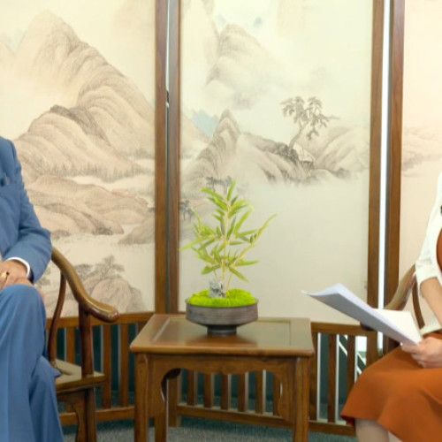 Adrian Năstase: România are nevoie de relații strânse cu China