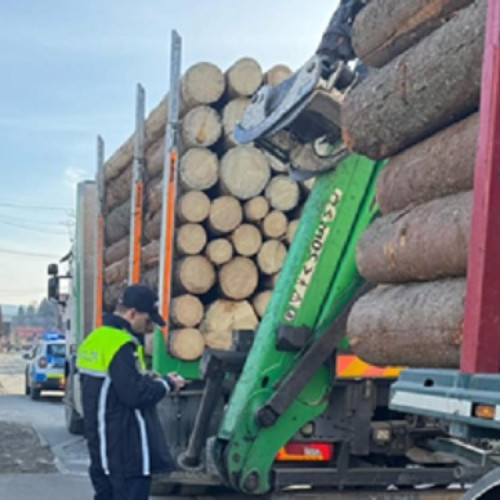 Acțiune a polițiștilor din Vișeu de Sus pentru prevenirea transportului ilegal de lemne